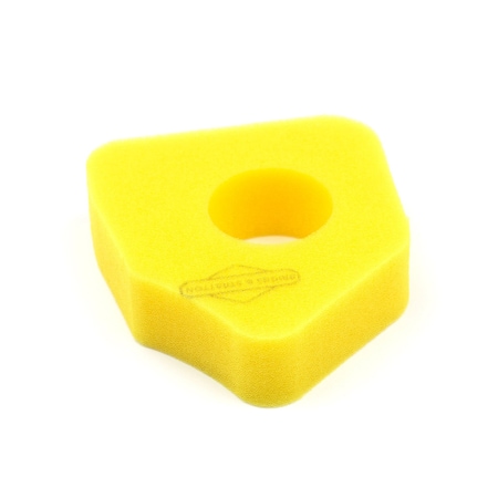 Briggs & Stratton Air Filter 794071